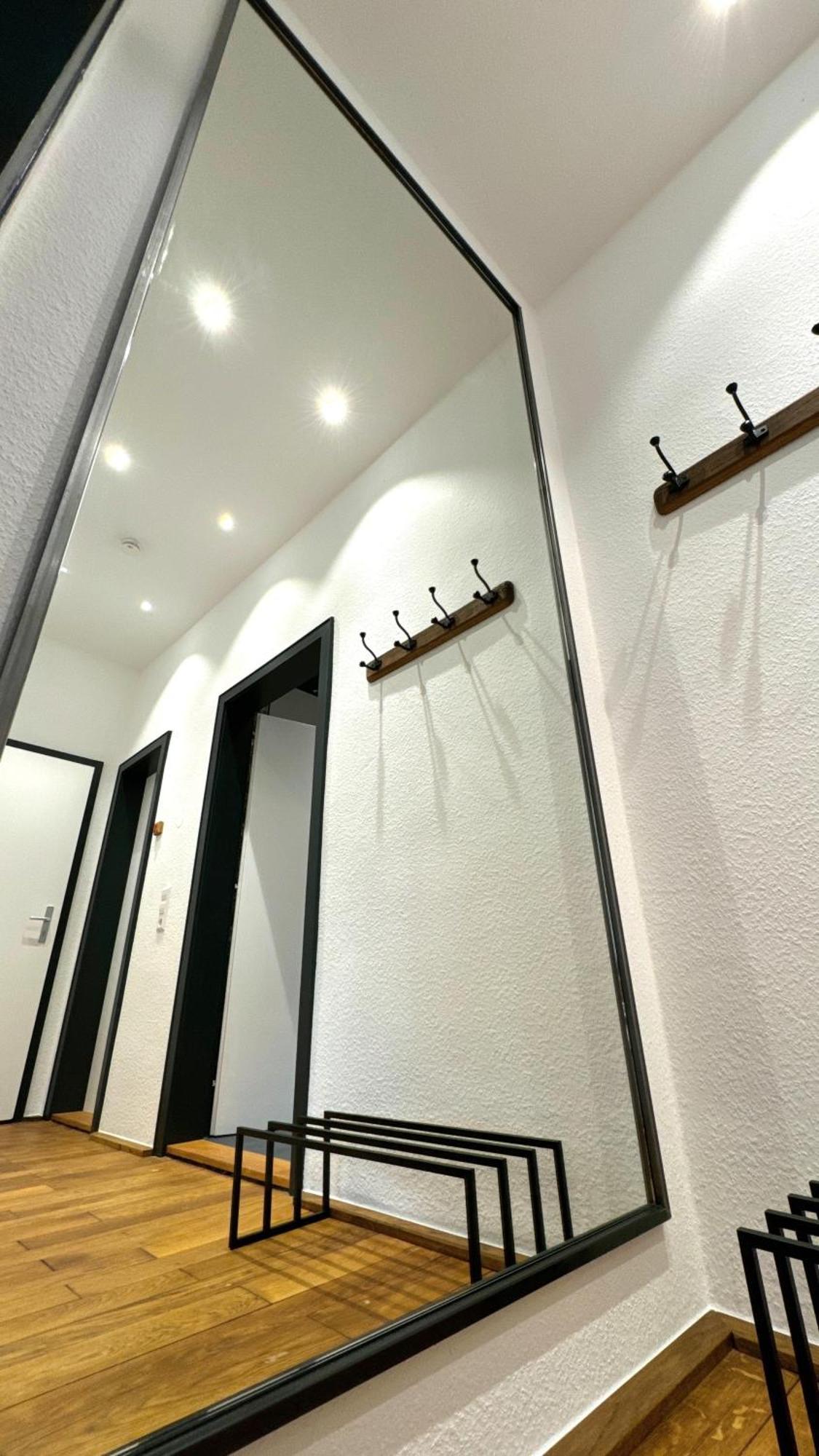 Historical Luxury Homes - Luxus Loft Wallstreet Freiburg im Breisgau Exterior photo