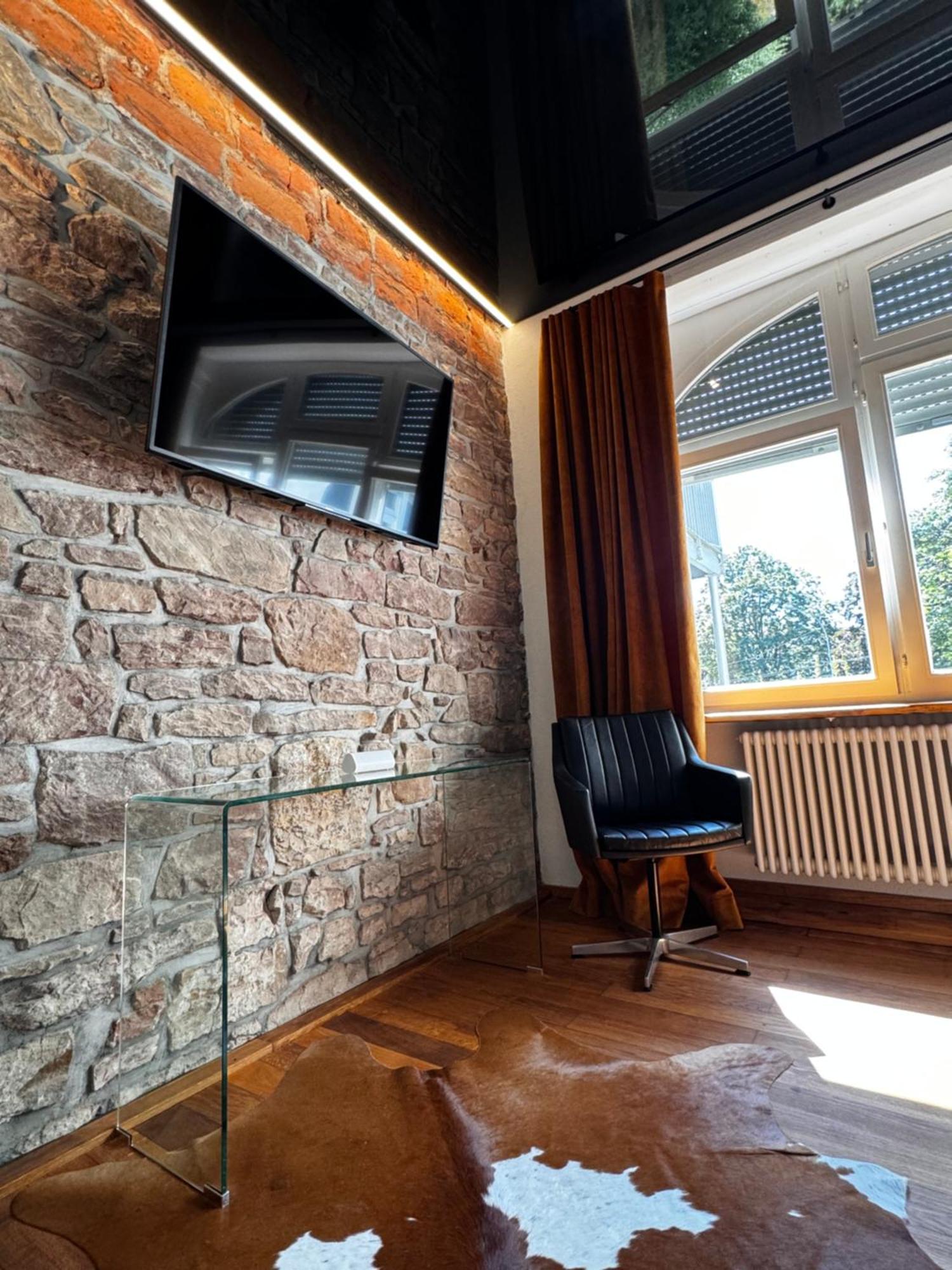 Historical Luxury Homes - Luxus Loft Wallstreet Freiburg im Breisgau Exterior photo