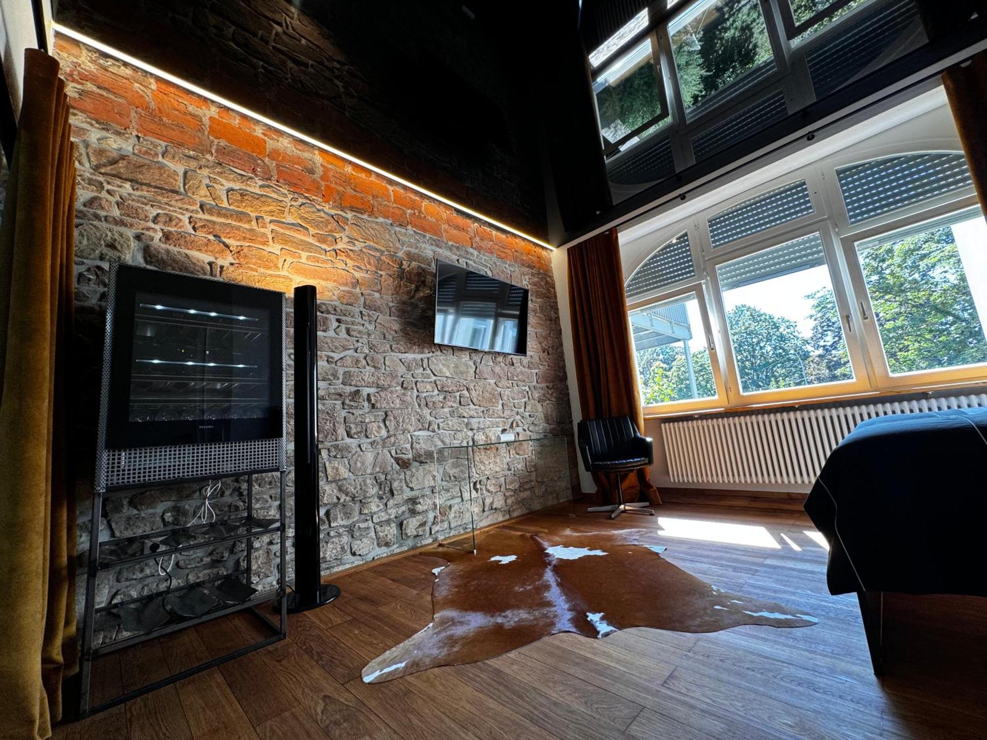 Historical Luxury Homes - Luxus Loft Wallstreet Freiburg im Breisgau Exterior photo